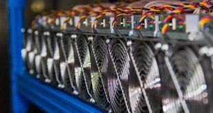 Сколько биткоинов смогли добыть российские майнеры