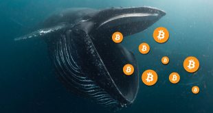 Проснувшийся биткоин-кит перевел еще 40 000 BTC