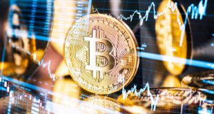 В Citi ждут нового пика биткоина в этом году