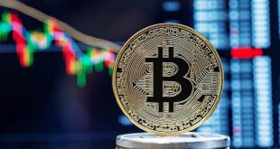 Аналитики: Цена биткоина может подняться до $135 000